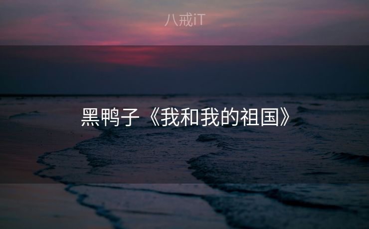 黑鸭子《我和我的祖国》 黑鸭子《我和我的祖国》
