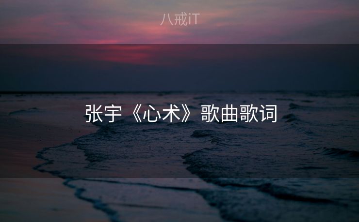 张宇《心术》歌曲歌词