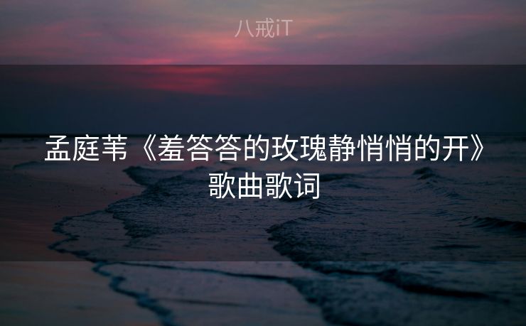 孟庭苇《羞答答的玫瑰静悄悄的开》歌曲歌词
