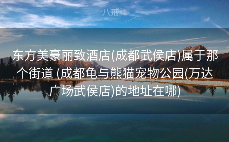 东方美豪丽致酒店(成都武侯店)属于那个街道 (成都龟与熊猫宠物公园(万达广场武侯店)的地址在哪)