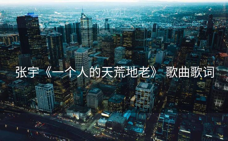 张宇《一个人的天荒地老》 歌曲歌词 张宇《一个人的天荒地老》 歌曲歌词