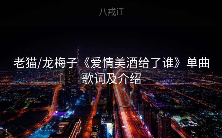 老猫/龙梅子《爱情美酒给了谁》单曲歌词及介绍