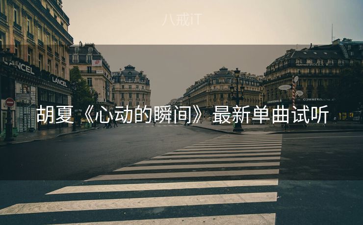 胡夏《心动的瞬间》最新单曲试听