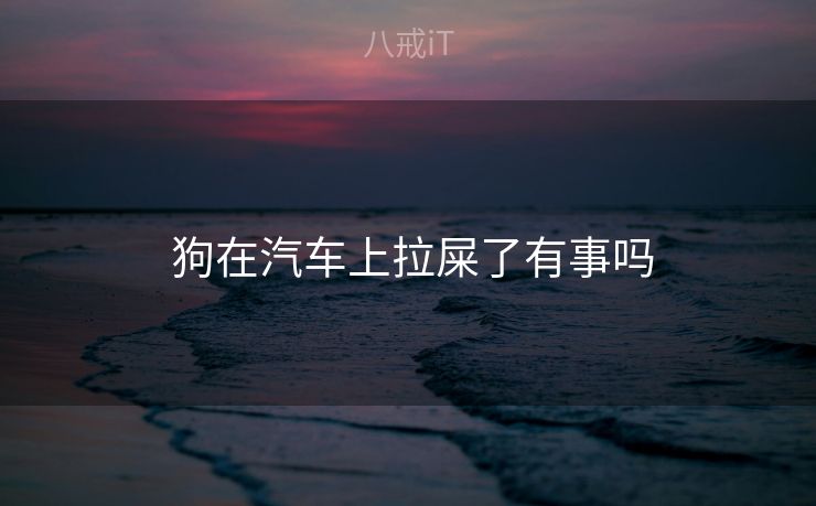  狗在汽车上拉屎了有事吗