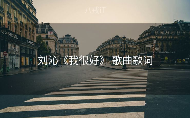 刘沁《我很好》 歌曲歌词