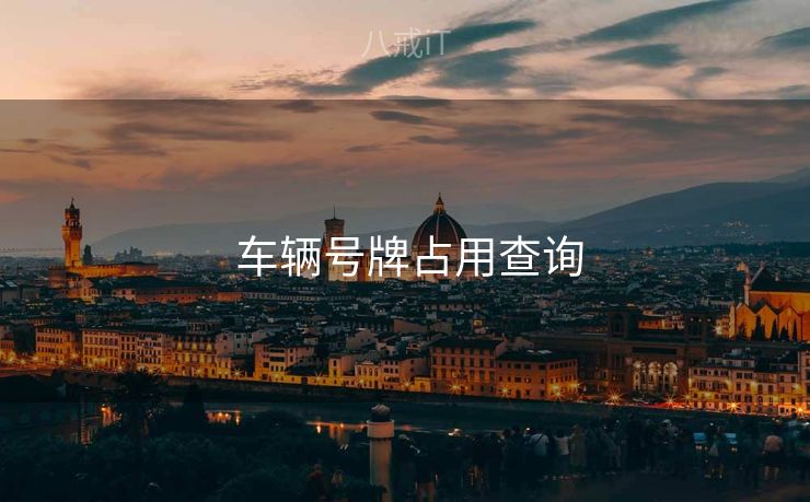 车辆号牌占用查询 车辆号牌占用查询