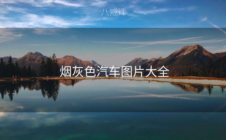  烟灰色汽车图片大全