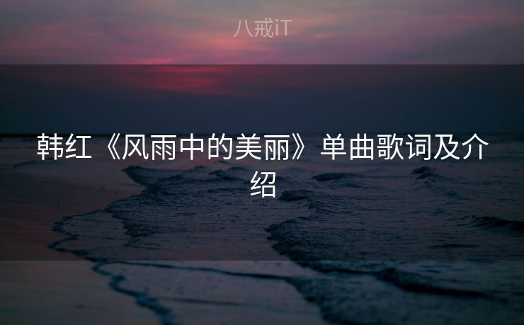 韩红《风雨中的美丽》单曲歌词及介绍