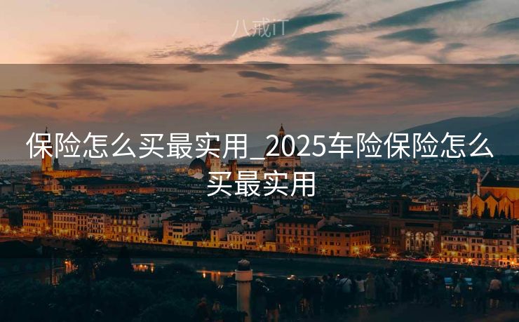 保险怎么买最实用_2025车险保险怎么买最实用 保险怎么买最实用_2025车险保险怎么买最实用