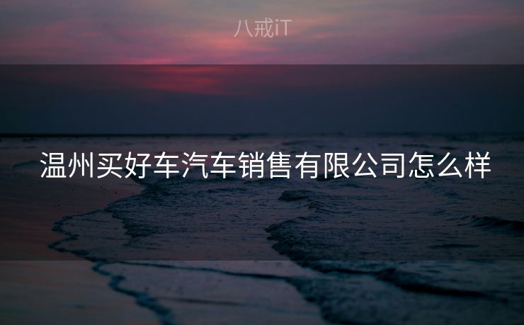  温州买好车汽车销售有限公司怎么样