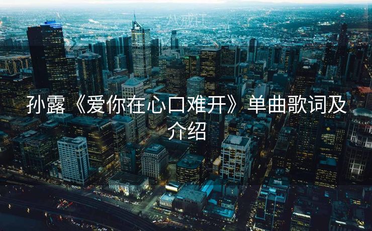 孙露《爱你在心口难开》单曲歌词及介绍