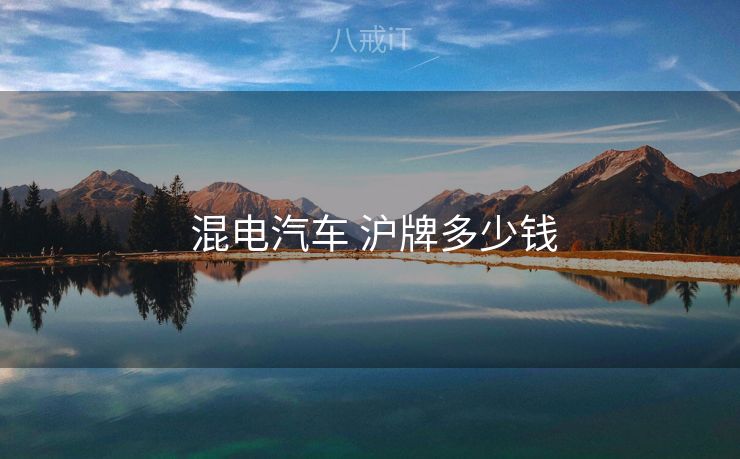  混电汽车 沪牌多少钱