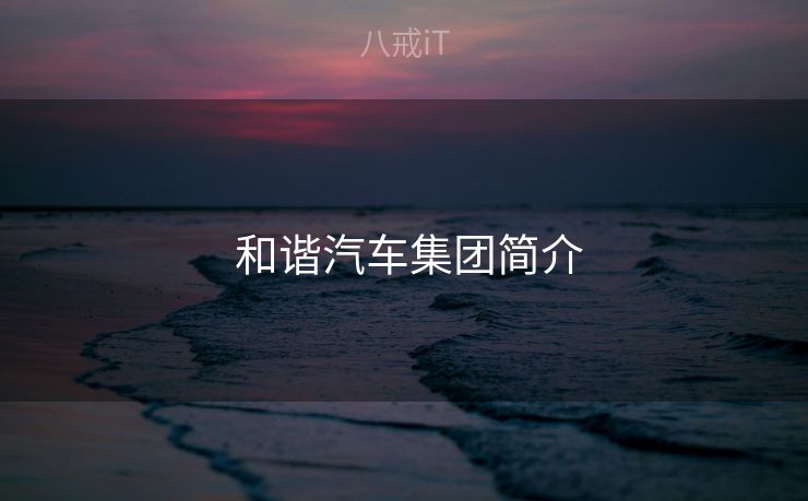  和谐汽车集团简介