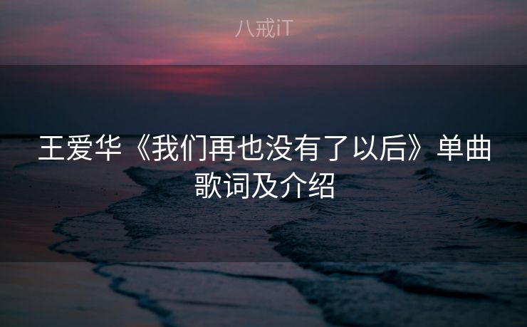 王爱华《我们再也没有了以后》单曲歌词及介绍 王爱华《我们再也没有了以后》单曲歌词及介绍