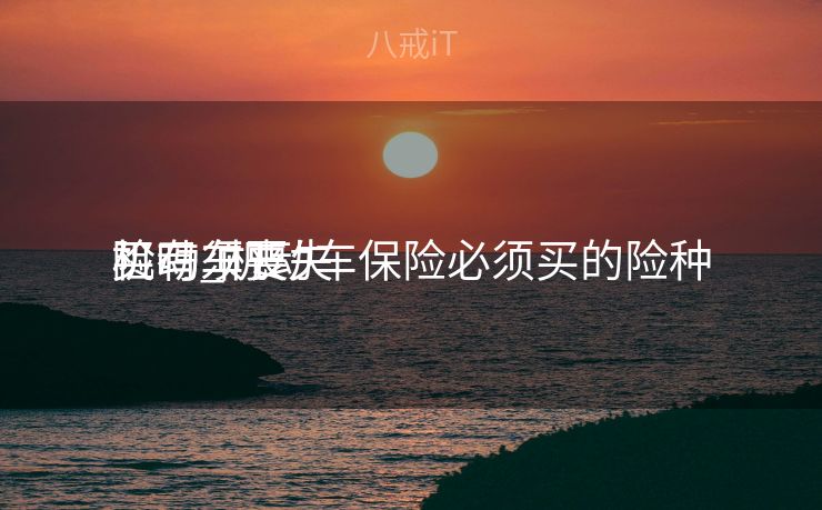 机动车丧失
险有须要
买吗_机动车保险必须买的险种 机动车丧失
险有须要
买吗_机动车保险必须买的险种