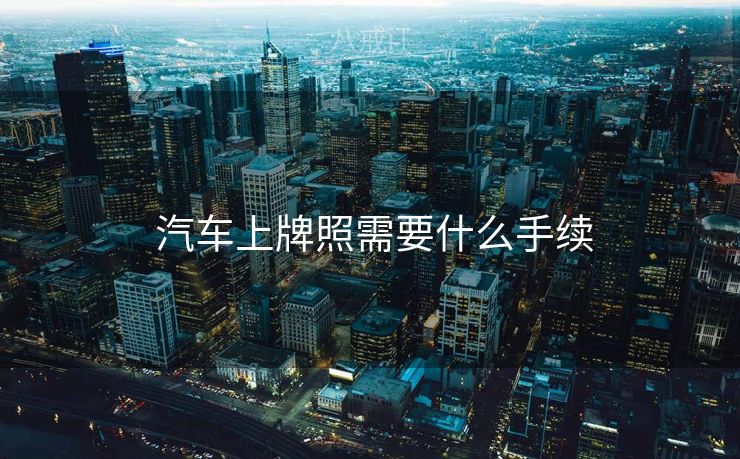  汽车上牌照需要什么手续