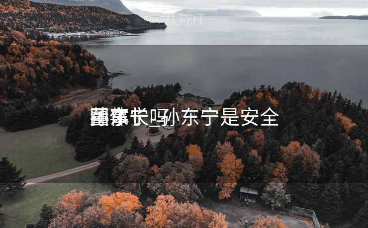 孙东宁_孙东宁是安全
团体
董事长吗