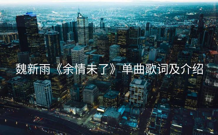 魏新雨《余情未了》单曲歌词及介绍
