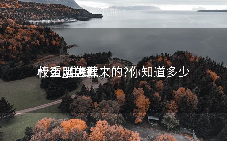 什么叫店肆
权重_店肆
权重是怎么来的?你知道多少