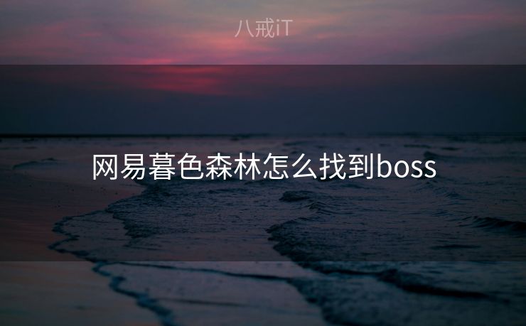 网易暮色森林怎么找到boss