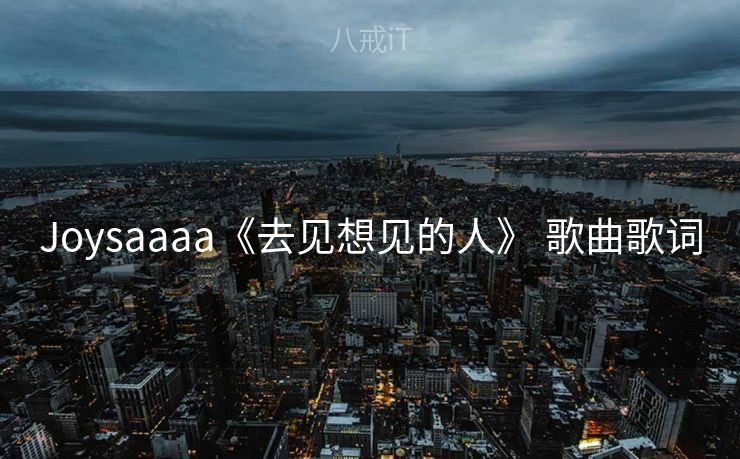 Joysaaaa《去见想见的人》 歌曲歌词