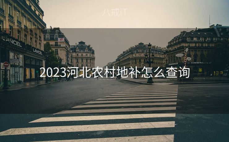2023河北农村地补怎么查询