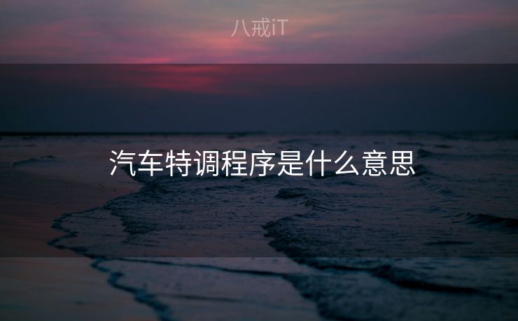  汽车特调程序是什么意思