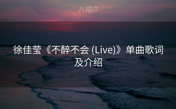 徐佳莹《不醉不会 (Live)》单曲歌词及介绍 徐佳莹《不醉不会 (Live)》单曲歌词及介绍