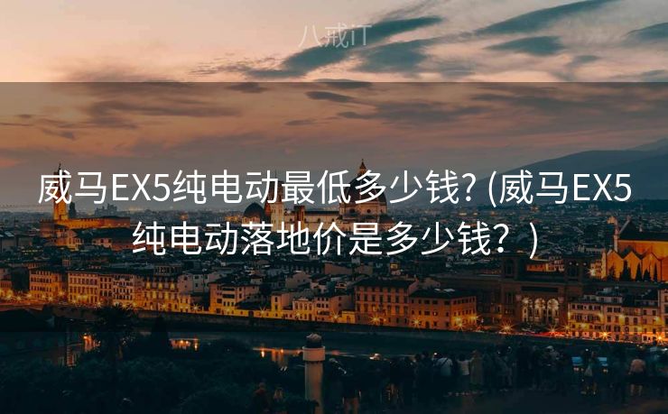 威马EX5纯电动最低多少钱? (威马EX5纯电动落地价是多少钱？)