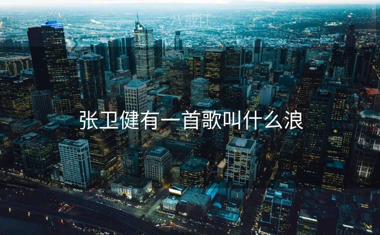 张卫健有一首歌叫什么浪