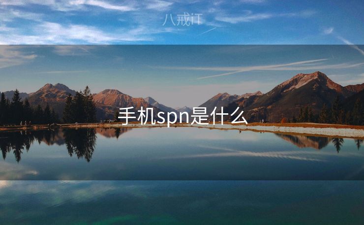 手机spn是什么