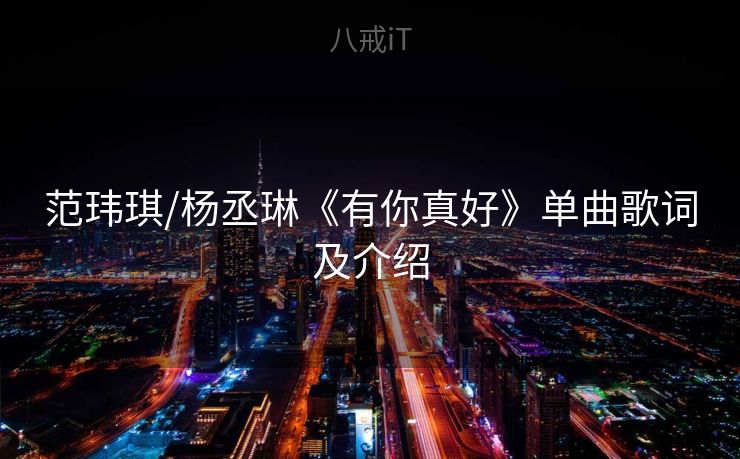 范玮琪/杨丞琳《有你真好》单曲歌词及介绍