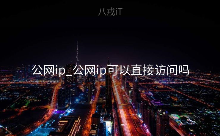 公网ip_公网ip可以直接访问吗