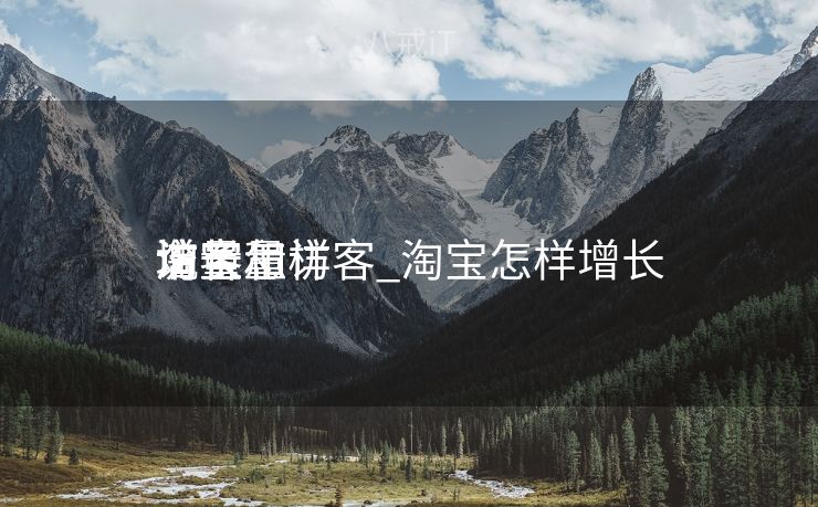 淘宝怎样
增长
流量和访客_淘宝怎样增长
访客量