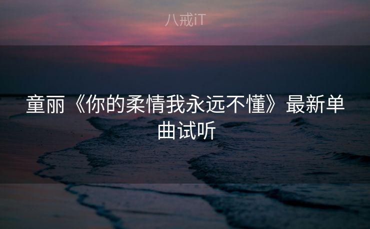 童丽《你的柔情我永远不懂》最新单曲试听 童丽《你的柔情我永远不懂》最新单曲试听