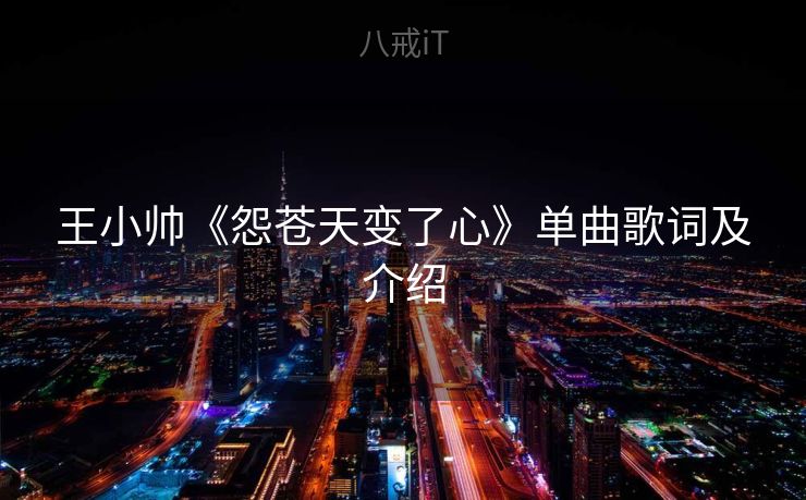 王小帅《怨苍天变了心》单曲歌词及介绍