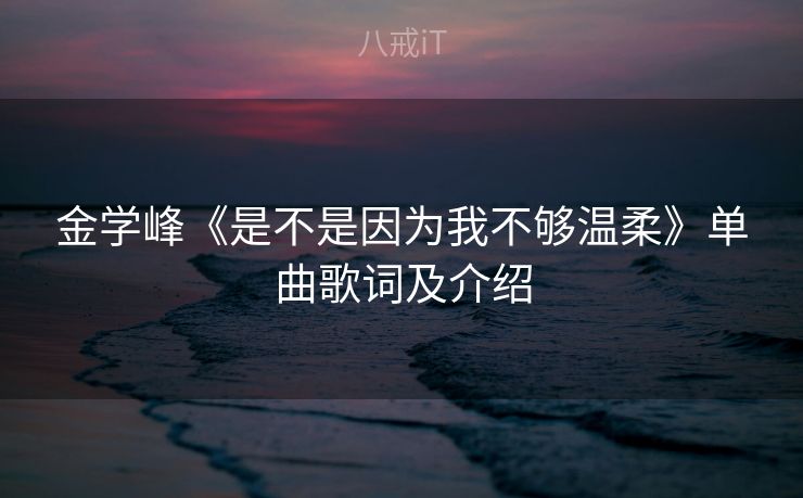 金学峰《是不是因为我不够温柔》单曲歌词及介绍