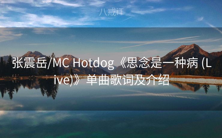 张震岳/MC Hotdog《思念是一种病 (Live)》单曲歌词及介绍