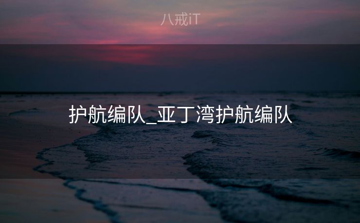 护航编队_亚丁湾护航编队