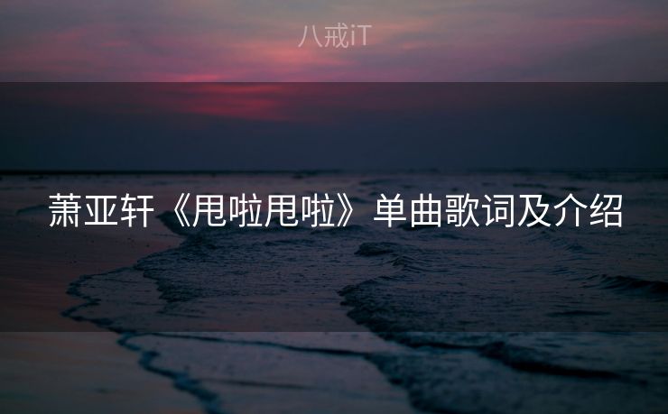 萧亚轩《甩啦甩啦》单曲歌词及介绍 萧亚轩《甩啦甩啦》单曲歌词及介绍
