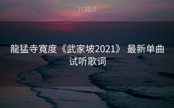 龍猛寺寬度《武家坡2021》 最新单曲试听歌词 龍猛寺寬度《武家坡2021》 最新单曲试听歌词