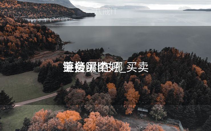 链接买卖
业务
平台哪个好_买卖
业务
链接url在哪