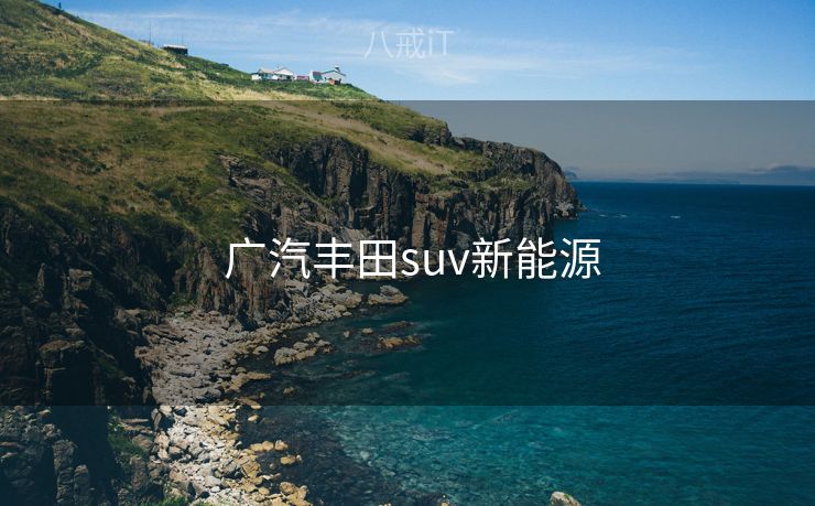  广汽丰田suv新能源