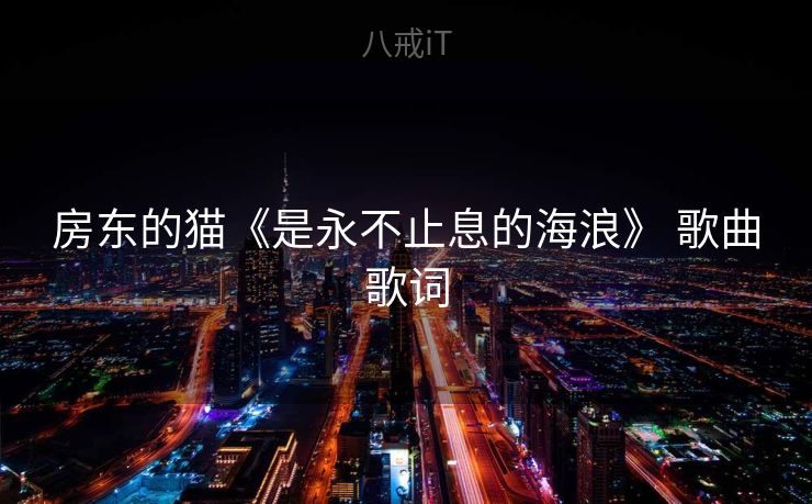 房东的猫《是永不止息的海浪》 歌曲歌词