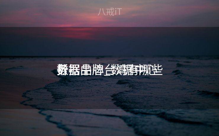 数据中心

折
务器品牌_数据中心

折
务器品牌台湾有哪些