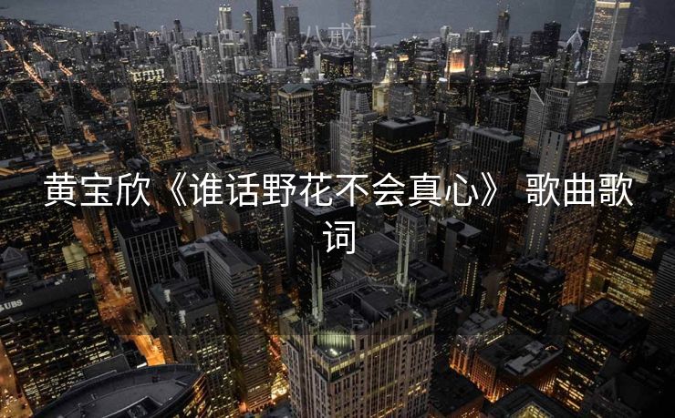 黄宝欣《谁话野花不会真心》 歌曲歌词 黄宝欣《谁话野花不会真心》 歌曲歌词
