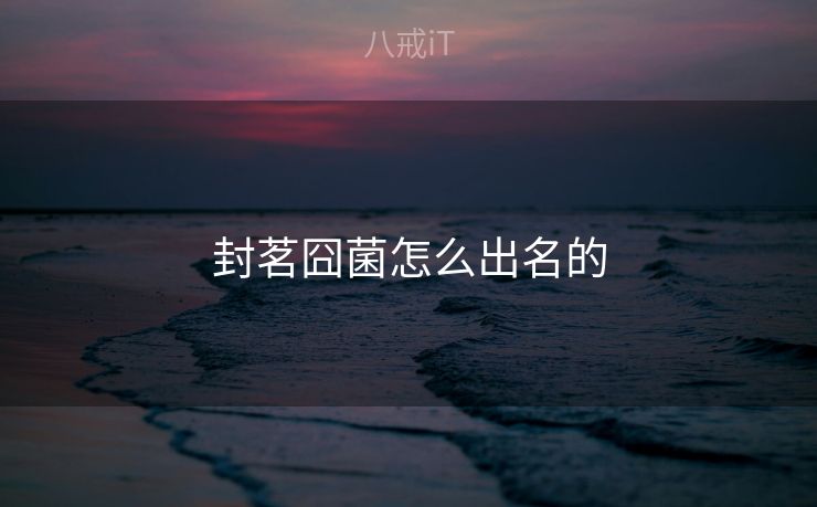 封茗囧菌怎么出名的 封茗囧菌怎么出名的