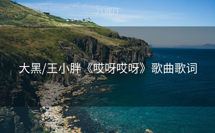 大黑/王小胖《哎呀哎呀》歌曲歌词
