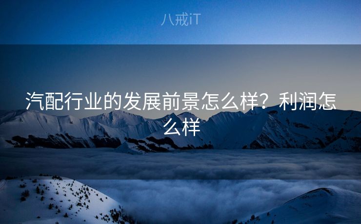 汽配行业的发展前景怎么样？利润怎么样