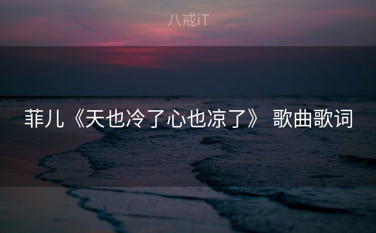 菲儿《天也冷了心也凉了》 歌曲歌词